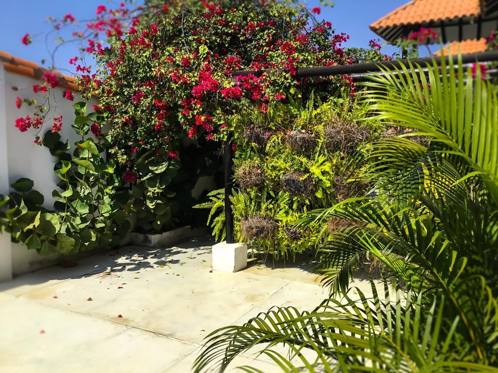 Bed and breakfast Casa Ines *